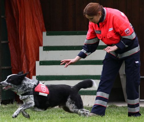 Rettungshundeführerin bei einer Übung mit Rettungshund